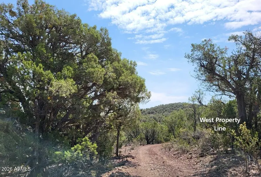 9716 Cattle Drive #163, Williams, AZ 86046 - #3