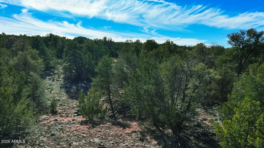 766 E Hualpai Trail #178, Williams, AZ 86046 - #3