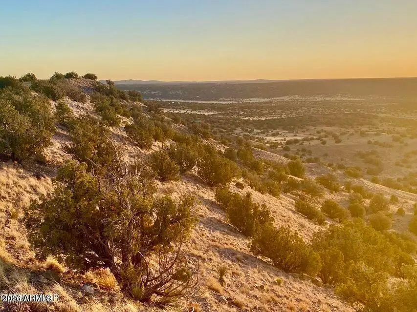 TBD Co Rd 5060 1.38 Acres --, Concho, AZ 85924 - #3