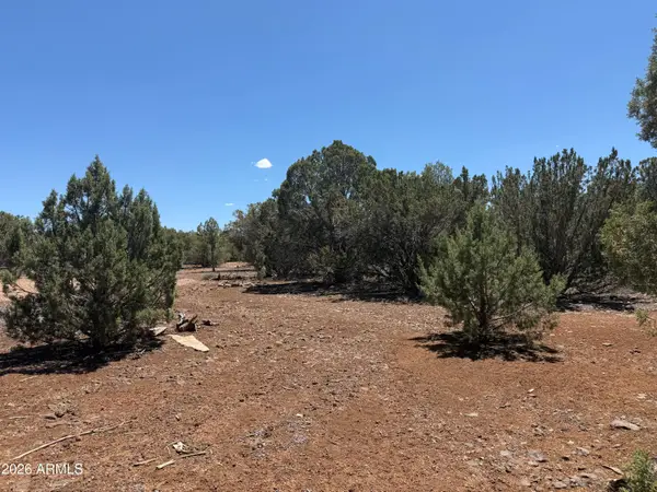 1886 White Tail Place #13-14, Show Low, AZ 85901
