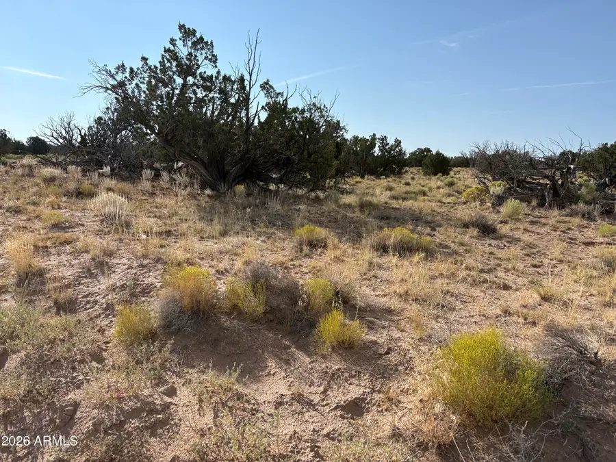 0 Coyote Run #577, Saint Johns, AZ 85936 - #2