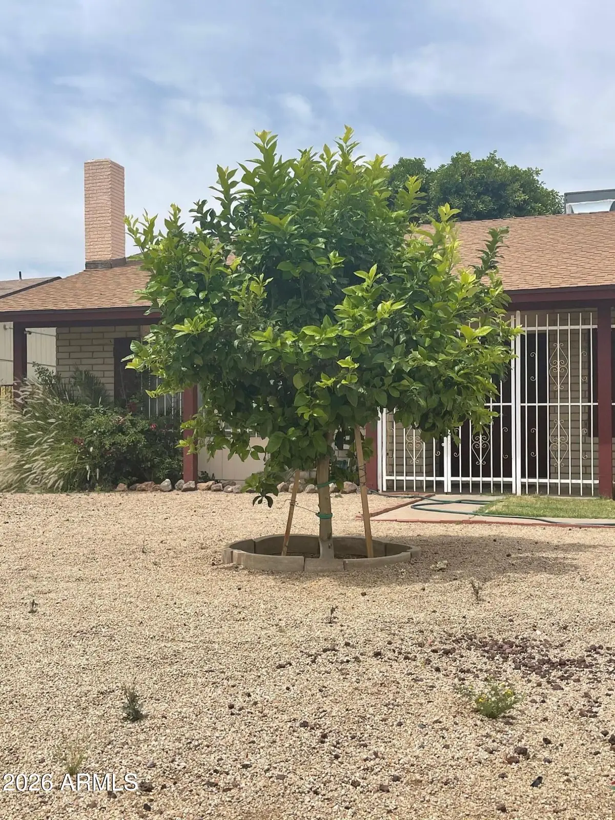 4850 N 63rd Lane, Phoenix, AZ 85033 - #1