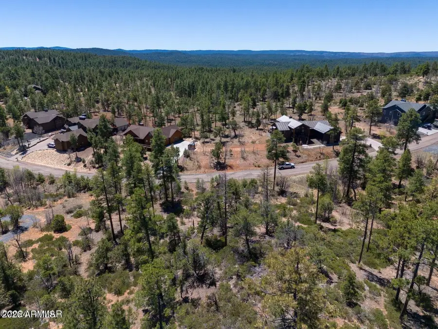 6007 Rim Road #066, Lakeside, AZ 85929 - #3