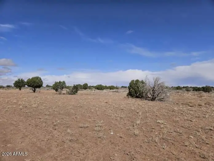 15 N 9079 --, Concho, AZ 85924 - #3