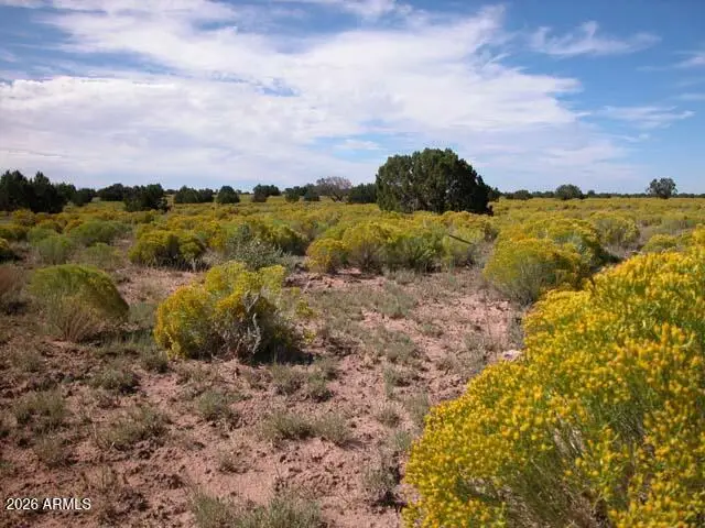 206-10-409 Bar Nothing Ranch Road, Chambers, AZ 86502 - #2