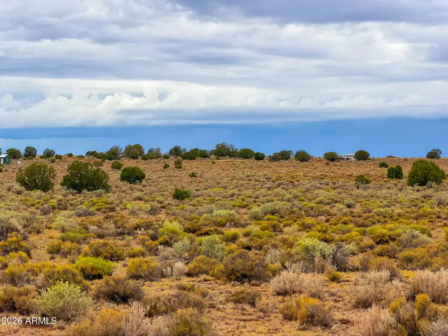 2028 S Avondale Road #142, Williams, AZ 86046 - #3
