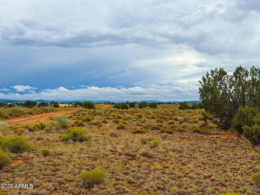 2056 S Avondale Road, Williams, AZ 86046 - #3