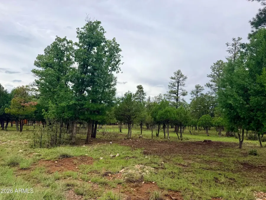 4517 Durango Drive #374, Happy Jack, AZ 86024 - #3