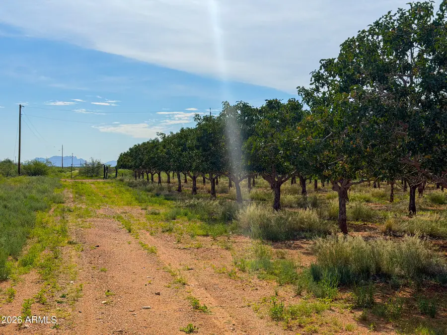 0 E Phillips Rd 40 Acres --, Willcox, AZ 85643 - #3