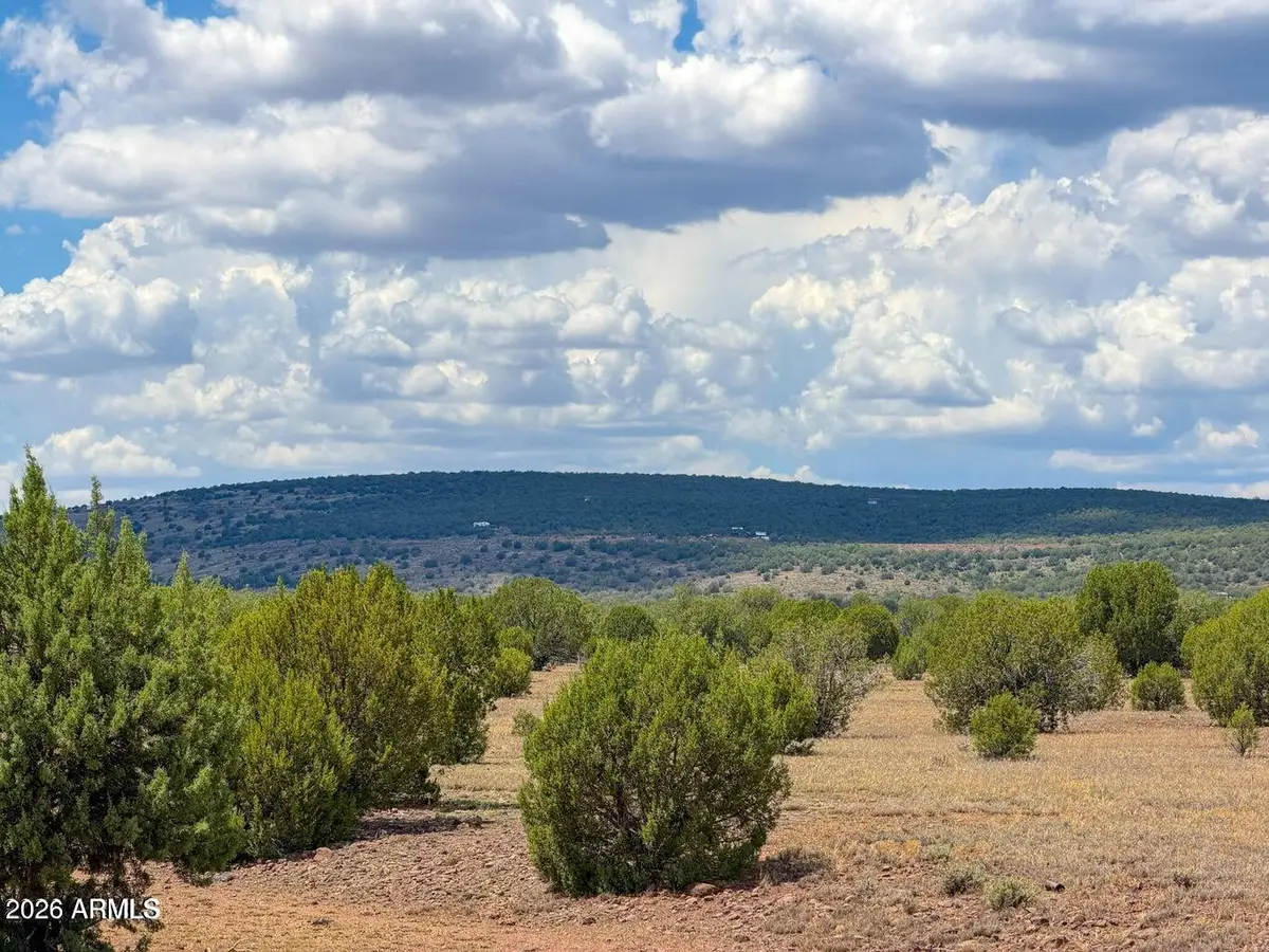 215 Gleed Station Lots B & D --, Ash Fork, AZ 86320 - #1