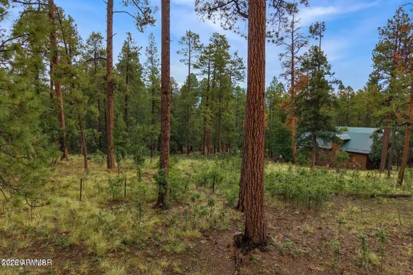 8 County Road 2070 -- #137, Alpine, AZ 85920