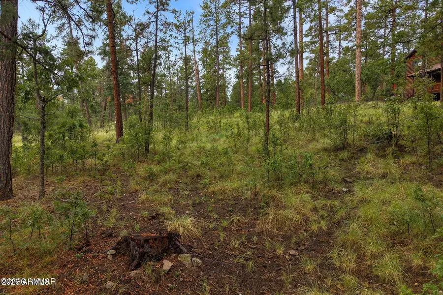 8 County Road 2070 -- #137, Alpine, AZ 85920 - #3