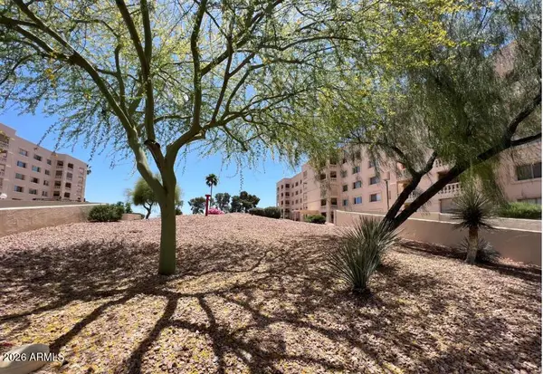 7910 E Camelback Road #110, Scottsdale, AZ 85251