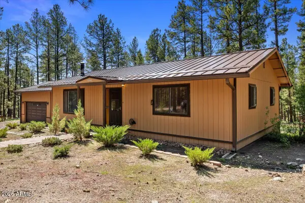 8 Turkey Track Drive, Alpine, AZ 85920