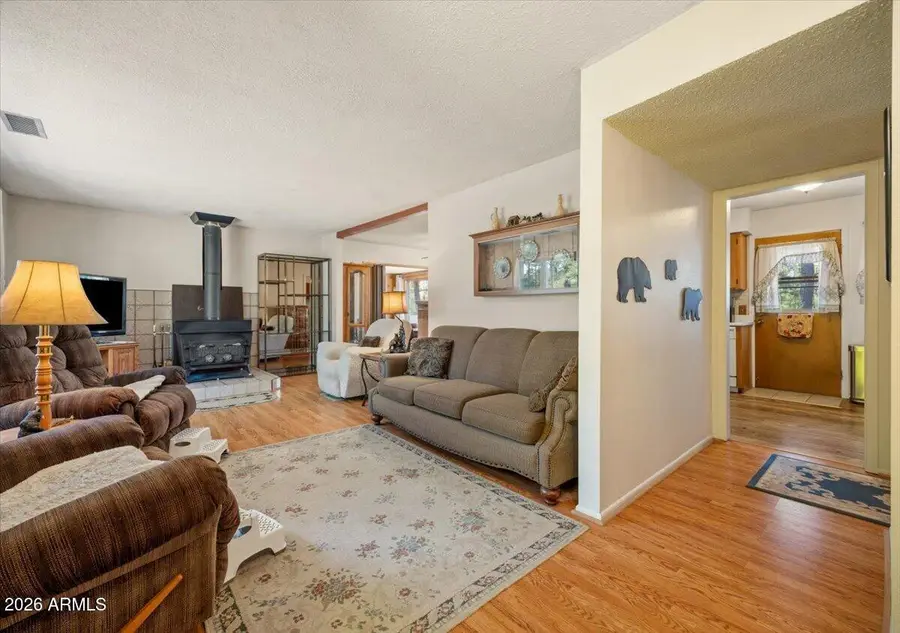 8 Turkey Track Drive, Alpine, AZ 85920 - #3