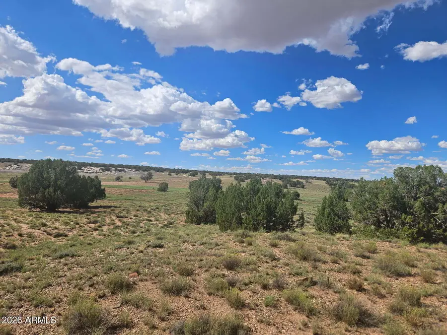 144 N County Road 9027 -- #47, Concho, AZ 85924 - #3