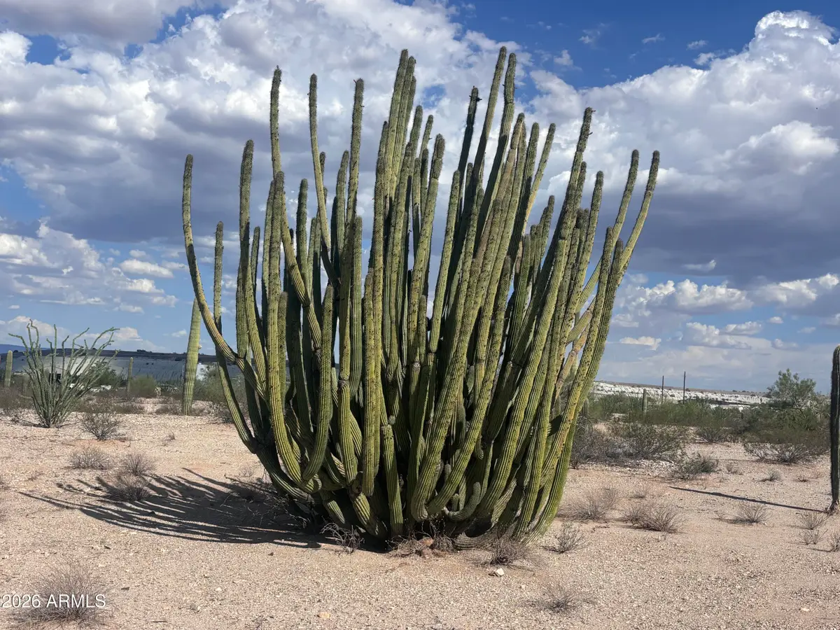 810 W Rasmussen Road #'-', Ajo, AZ 85321 - #1