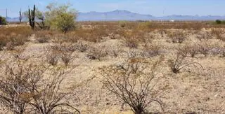 0 N 300th Avenue #145, Wittmann, AZ 85361 - #3