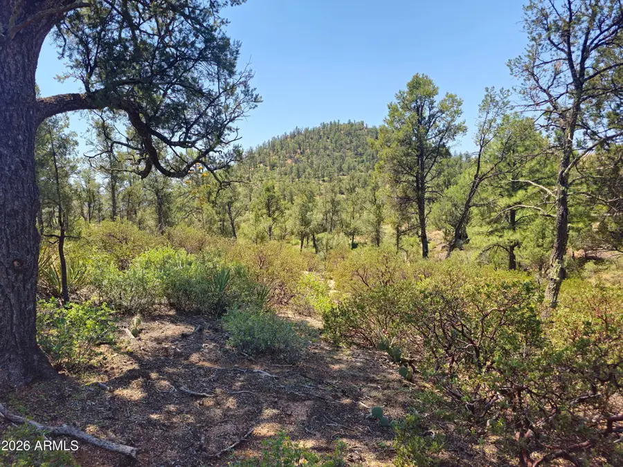 2400 E Rim Club Drive #105, Payson, AZ 85541 - #3