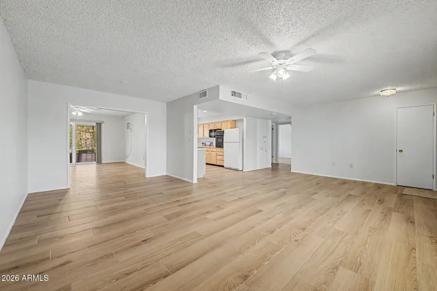 10310 W Ridgeview Road, Sun City, AZ 85351 - #3