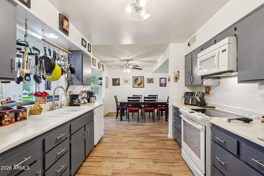 11031 W Tonada Drive, Sun City, AZ 85351 - #3