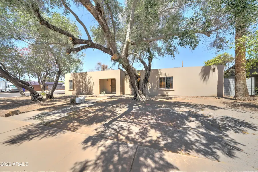 498 W Gail Drive, Chandler, AZ 85225 - #3