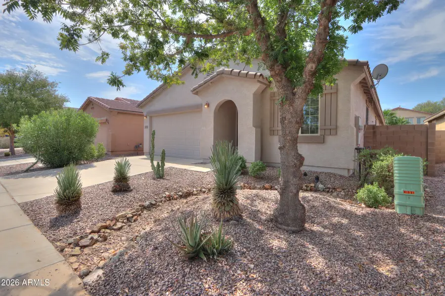 42531 W Palmyra Lane, Maricopa, AZ 85138 - #2