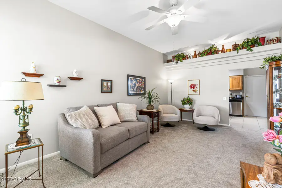 10016 W Hawthorn Drive, Sun City, AZ 85351 - #3