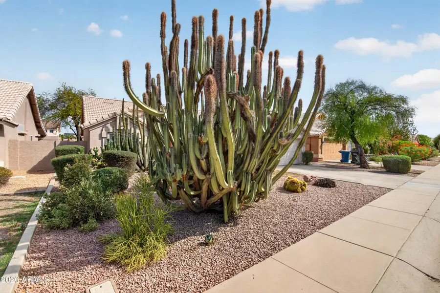 1590 E San Tan Street, Chandler, AZ 85225 - #3