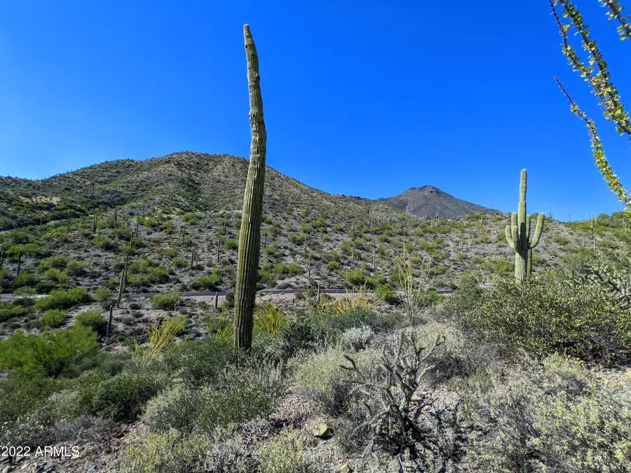 41347 N Longhorn Drive #11, Scottsdale, AZ 85262 - #2