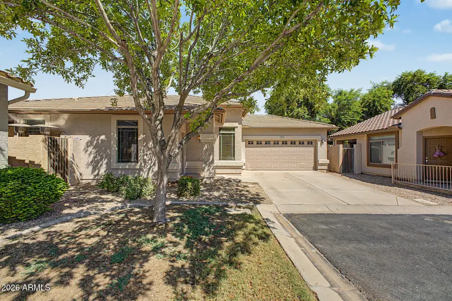 1270 E Thompson Way, Chandler, AZ 85286 - #3