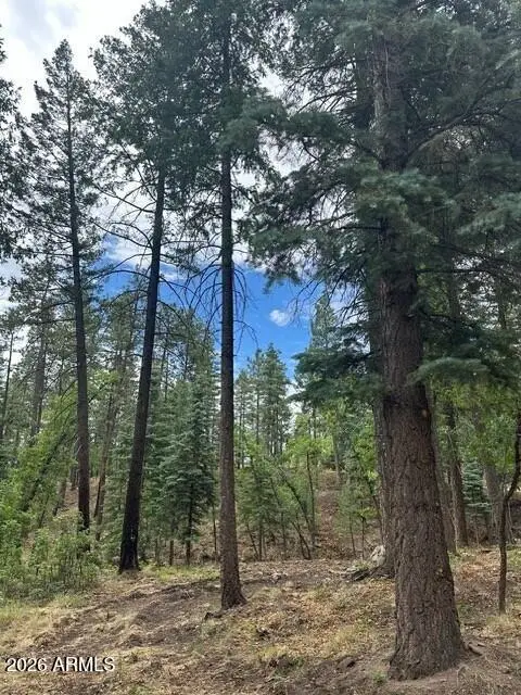 15 N Buttermilk Lane #52, Alpine, AZ 85920 - #2