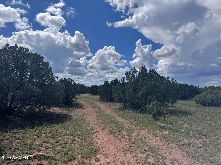 1939 Bourdon Ranch Road, Show Low, AZ 85901 - #3
