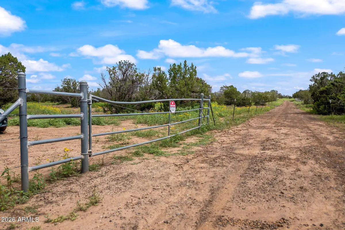 9132 Grant Road #011D, Show Low, AZ 85901 - #1