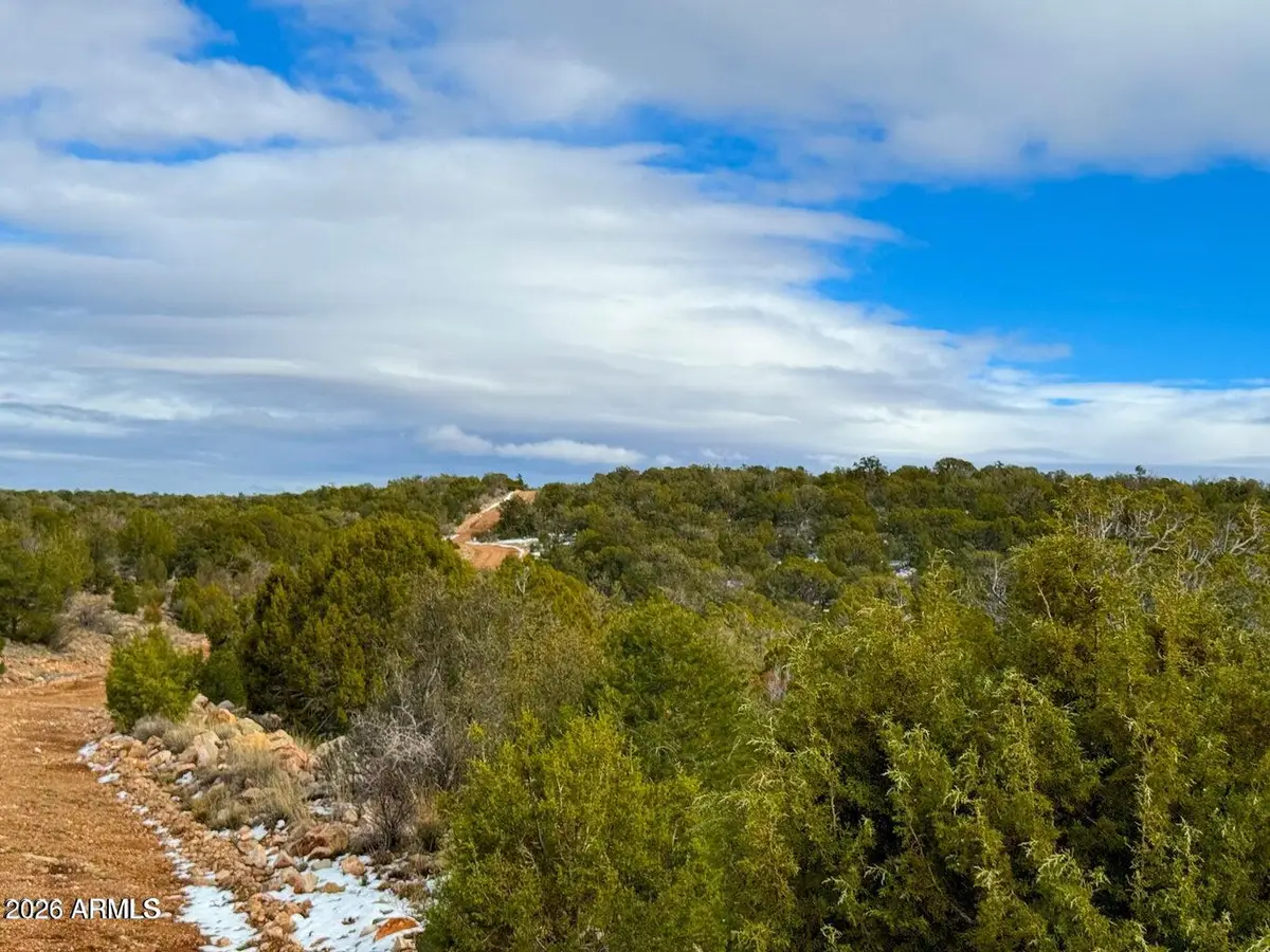 0 W Elkhorn Pass 36 Acres --, Seligman, AZ 86337 - #1