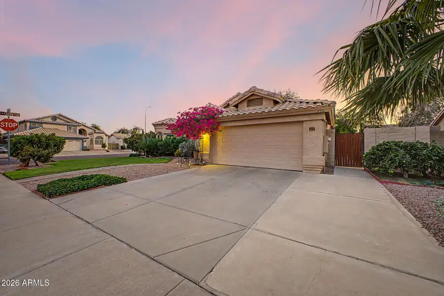 250 S Ash Drive, Chandler, AZ 85224 - #3