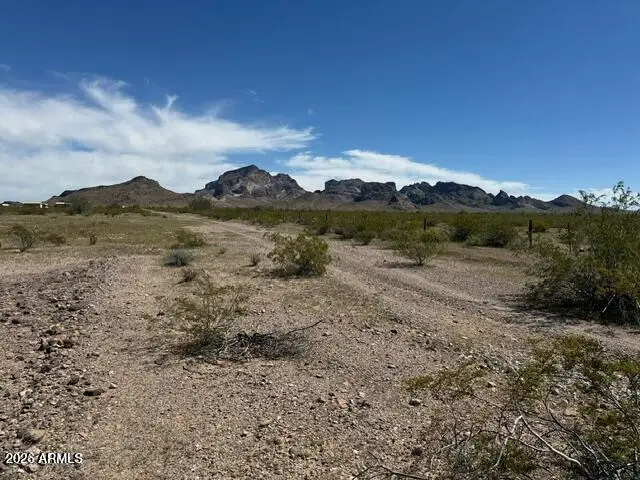 490 W Van Buren Street #63, Tonopah, AZ 85354 - #2