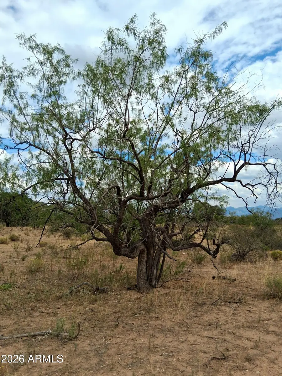 TBD S Los Gatos Trail #88, Pearce, AZ 85625 - #2