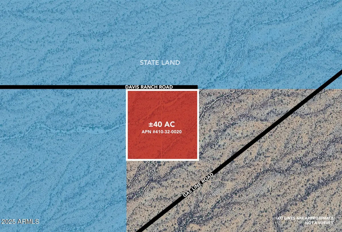 +/-40acres E Davis Ranch Road, Marana, AZ 85658 - #1