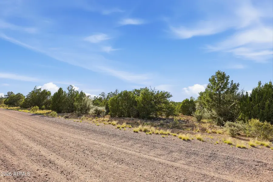 4897 NW Sunset Ridge Loop Loop #184, Happy Jack, AZ 86024 - #2
