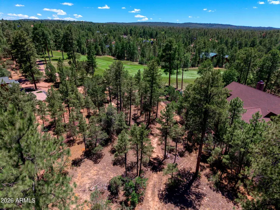 4531 W Foxglove Lane #26, Show Low, AZ 85901 - #2