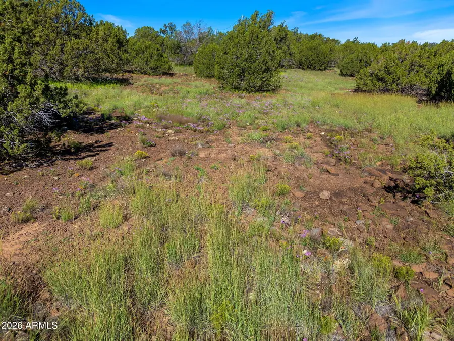 8796 Luana Drive #122, Show Low, AZ 85901 - #2