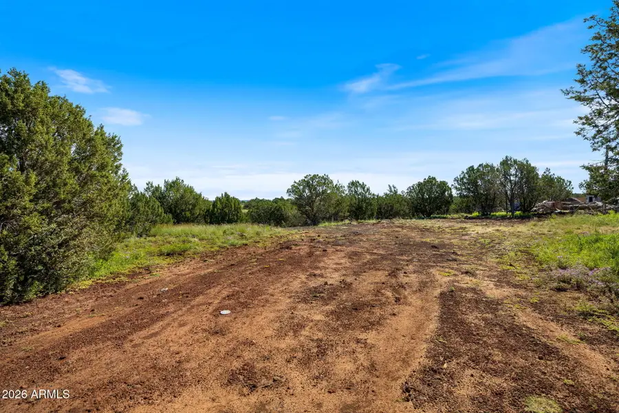 8788 Andrea Place #105, Show Low, AZ 85901 - #3