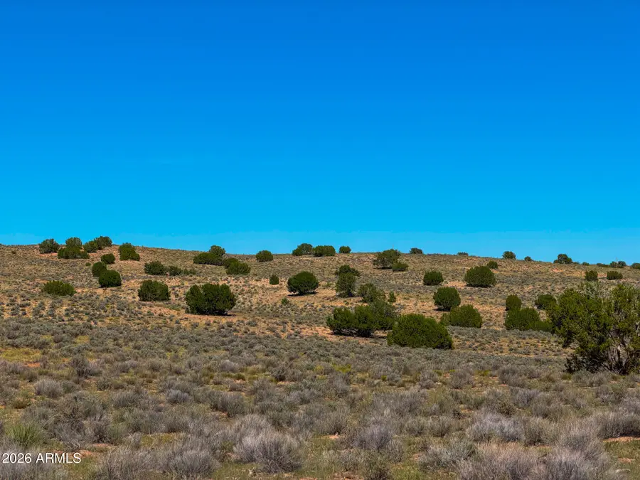 TBD County Rd. N7009 --, Chambers, AZ 86502 - #3