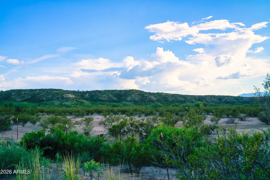 Lot 8 E Taylor Pass #08, Saint David, AZ 85630 - #3