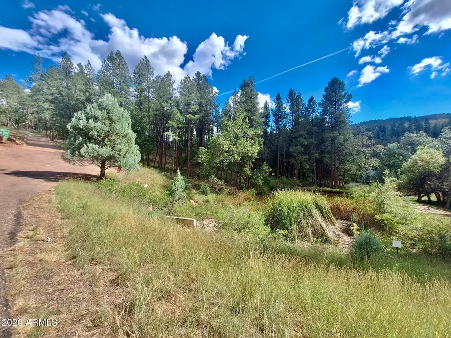 170 E Green Apple Lane #106, Payson, AZ 85541 - #3