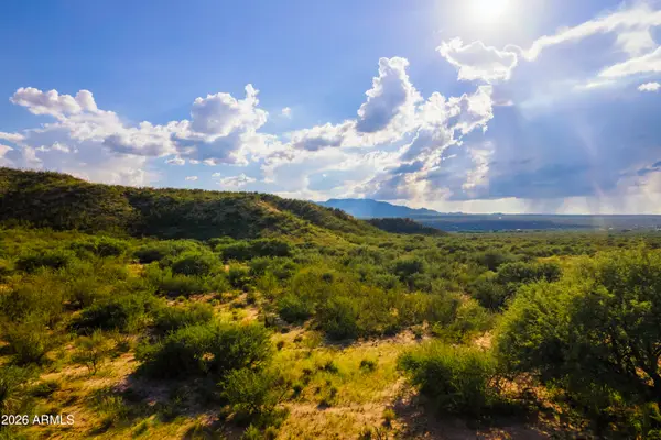 Lot 9 S Lonesome Road #09, Saint David, AZ 85630