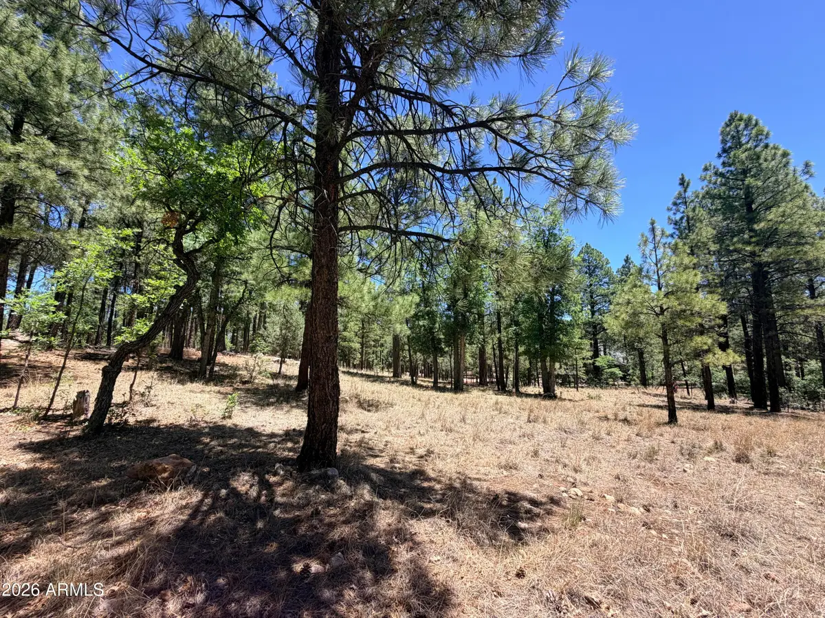4215 Apache Drive #428, Happy Jack, AZ 86024 - #1