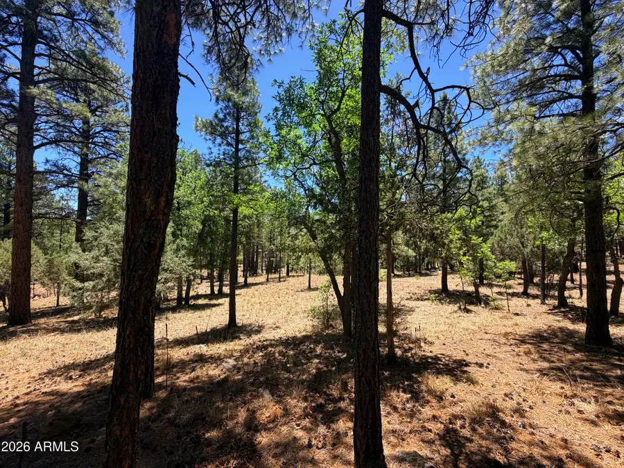 4215 Apache Drive #428, Happy Jack, AZ 86024 - #2