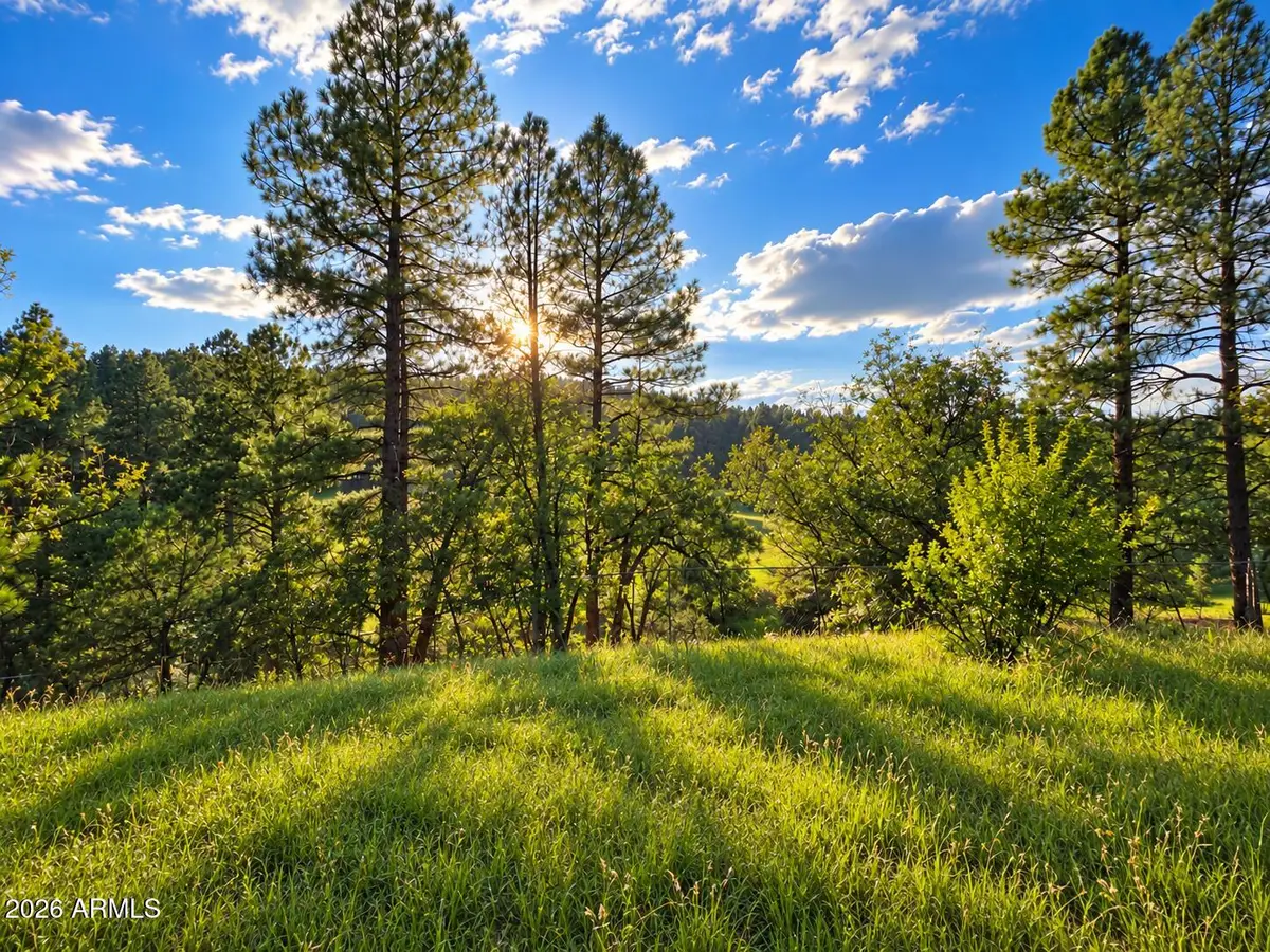 1248 S Running Elk Road, Payson, AZ 85541 - #1